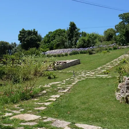 Апартаменты Casa Rosa, Quinta Carmo - Alcobaca/nazare Алкобаса