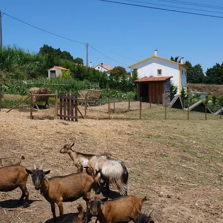 Casa Rosa, Quinta Carmo - Alcobaca/nazare Алкобаса