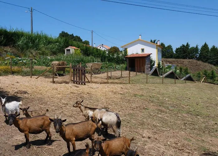 Casa Rosa, Quinta Carmo - Alcobaca/nazare Alcobaça